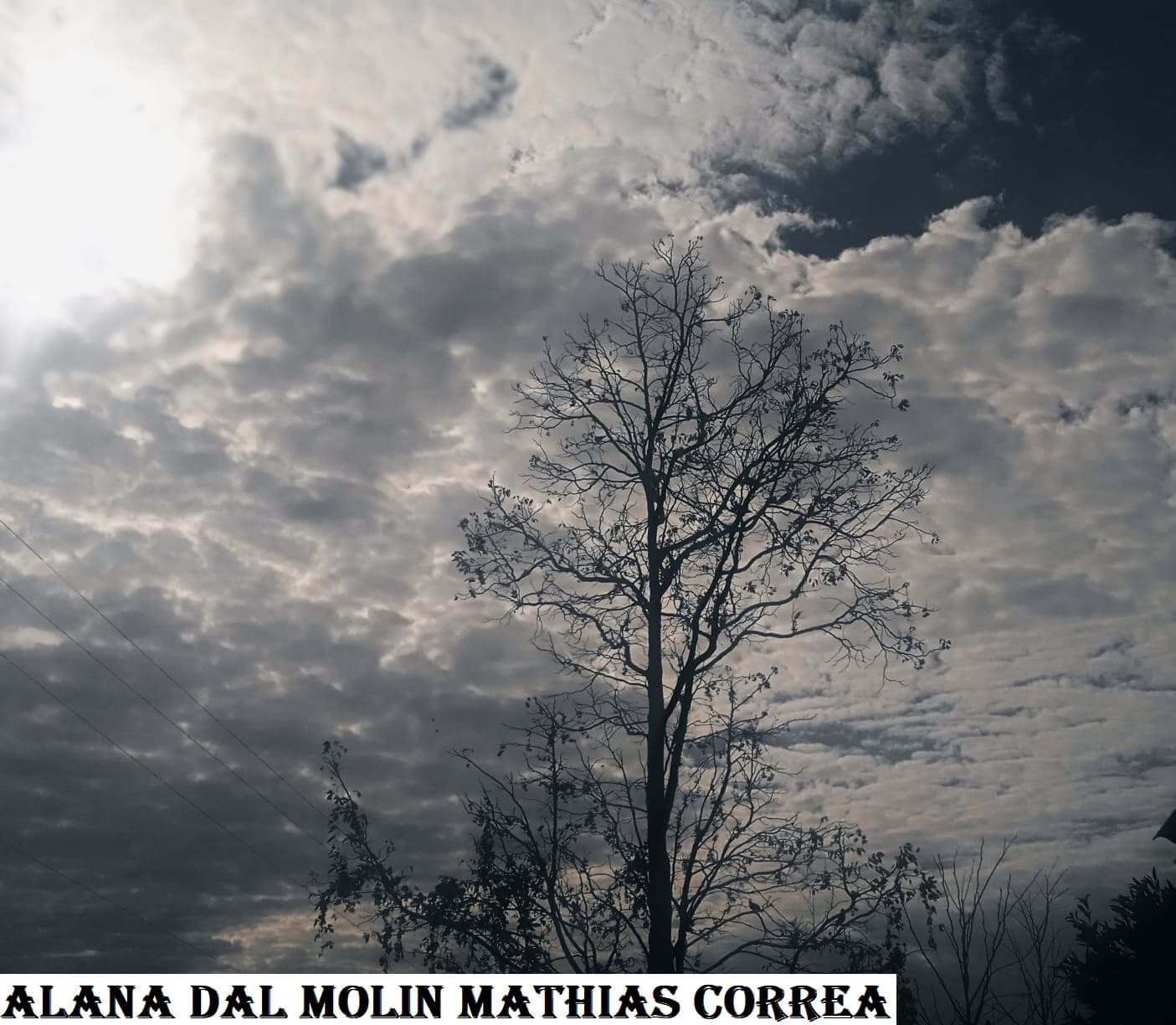 IV CONCURSO FOTOGRÁFICO DE NOVO TIRADENTES - CATEGORIA 02 - 2023